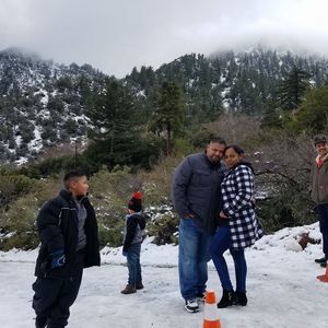 Meet your Posher, Frank